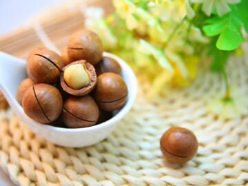 Macadamia Nuts served on a spoon